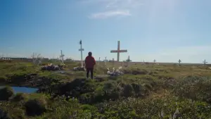 Задник к фильму "" #543632