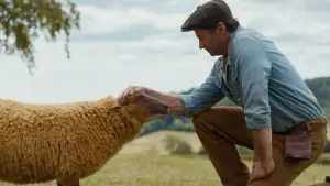 Задник к фильму "Следствие ведут овечки" #575154