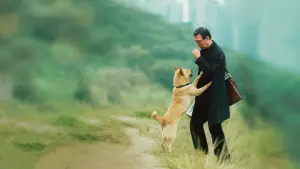 Задник к фильму "Мой Хатико" #191752