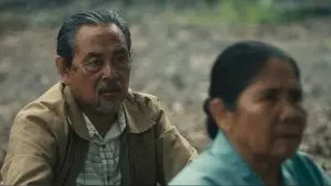 Задник к фильму "Сахарная фабрика" #694598