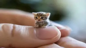 Задник к фильму "" #440804