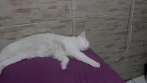 Задник к фильму "" #564823