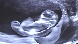 Задник к фильму "Castration Movie Anthology iii. Year of the Hyaena" #696062