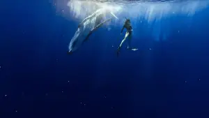 Задник к фильму "" #542553