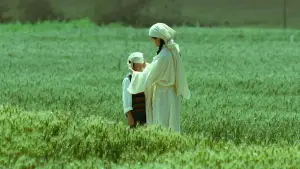 Задник к фильму "" #538864