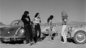 Задник к фильму "Быстрая Кошечка! Убей, Убей!" #424402