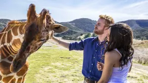 Задник к фильму "" #362106