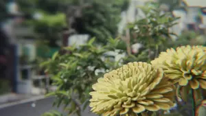 Задник к фильму "" #483334