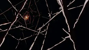 Задник к фильму "Макросс: Помнишь ли нашу любовь?" #394806