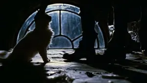 Задник к фильму "Ворон" #503413