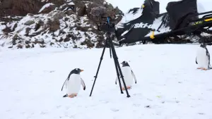 Задник к фильму "Антарктида" #670578