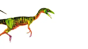 Задник к фильму "Парк Юрского периода 2: Затерянный мир" #281865