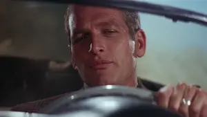 Задник к фильму "Харпер" #348250