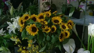 Задник к фильму "Фейерверк" #710955