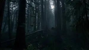 Задник к фильму "Выживший" #516932