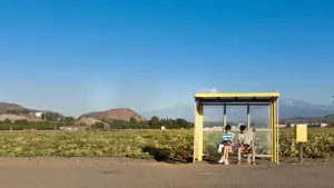 Задник к фильму "Аристотель и Данте открывают тайны Вселенной" #322188