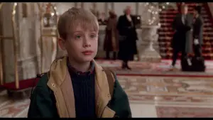 Задник к фильму "Один дома 2: Затерянный в Нью-Йорке" #566995