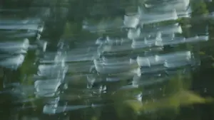 Задник к фильму "" #539089