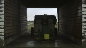 Задник к фильму "Простая история" #529164