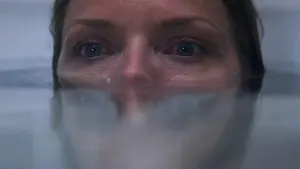 Задник к фильму "Что скрывает ложь" #444745