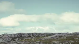 Задник к фильму "Север" #673864