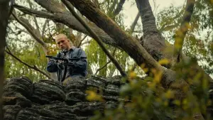 Задник к фильму "Вершина" #568109