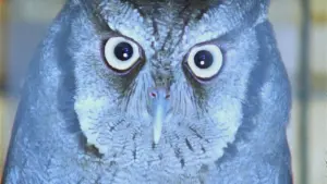 Задник к фильму "" #191804