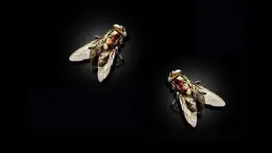 Задник к фильму "Муха 2" #384583