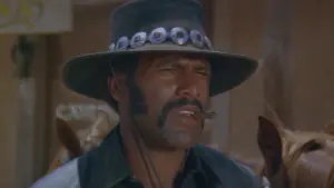 Задник к фильму "Босс ниггер" #486586