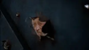 Задник к фильму "Сірі бджоли" #694435