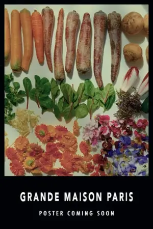 Постер к фильму "Отель Grand Maison Paris" #587745