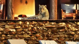 Задник к фильму "Год, изменивший планету" #411825