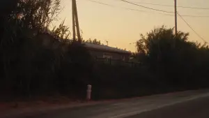 Задник к фильму "Crau" #777550