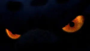 Задник к фильму "Кунг-фу Панда" #569002