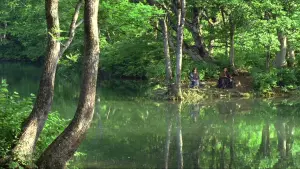 Задник к фильму "Ичи" #483931