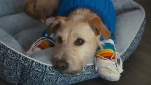 Задник к фильму "Мерф" #578365