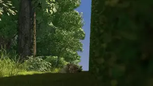 Задник к фильму "Лесная братва" #669184