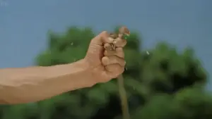 Задник к фильму "Пьяный мастер" #715918