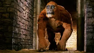 Задник к фильму "" #503019