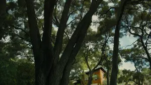 Задник к фильму "Красивый мальчик" #693597