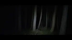 Задник к фильму "" #473604