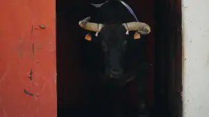 Задник к фильму "" #443692