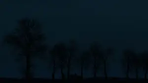 Задник к фильму "Гадкая сестра" #519178