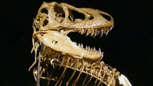 Задник к фильму "" #478219