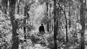 Задник к фильму "Мир Апу" #382686