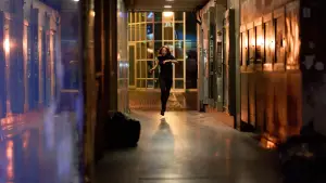 Задник к фильму "Досье «Чёрная канарейка»" #622997