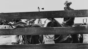 Задник к фильму "Хад" #623376