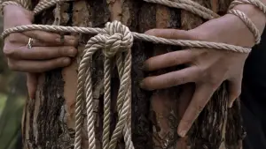 Задник к фильму "Секретарша" #718461