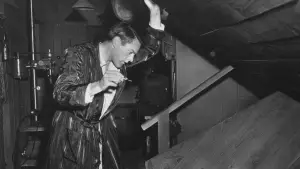 Задник к фильму "Вторжение похитителей тел" #715460