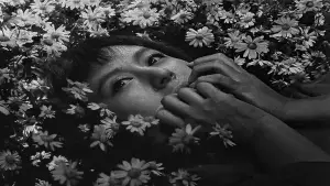 Задник к фильму "Семь Самураев" #605749